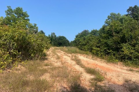 Земельный участок в Самуи, Таиланд 49600м2  № 153647 - фото 10