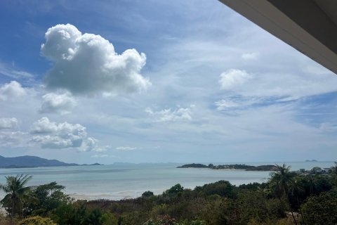 Земельный участок в Самуи, Таиланд 49600м2  № 153647 - фото 4