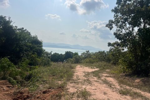 Земельный участок в Самуи, Таиланд 49600м2  № 153647 - фото 8