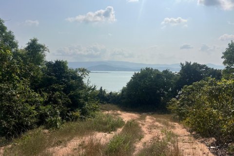 Земельный участок в Самуи, Таиланд 49600м2  № 153647 - фото 6