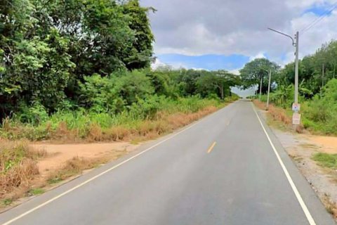 Terrain à Rayong, Thaïlande 36800 m2 № 153034 - photo 3