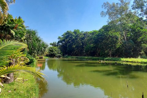 Maison à Rayong, Thaïlande 5 chambres № 164380 - photo 17