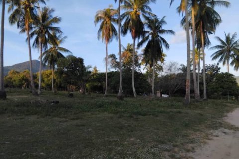 Земельный участок в Сураттхани, Таиланд  № 146762 - фото 5