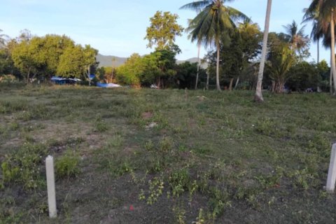 Земельный участок в Сураттхани, Таиланд  № 146762 - фото 2