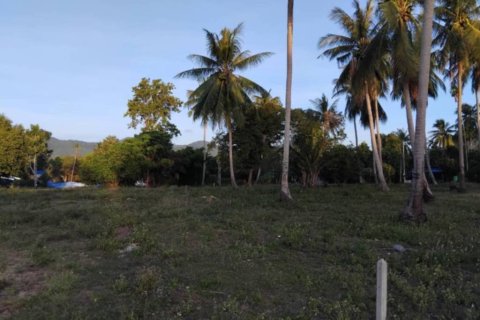 Земельный участок в Сураттхани, Таиланд  № 146762 - фото 6