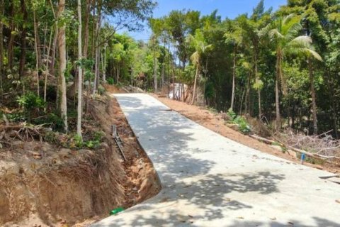 Land in Surat Thani, Thailand № 115686 - photo 2