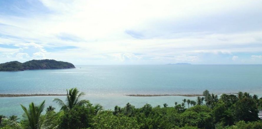 Land in Surat Thani, Thailand № 115686