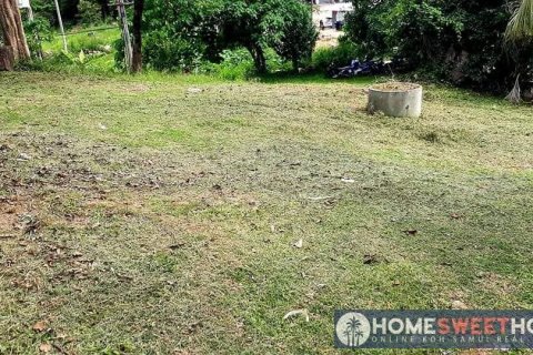 Land in Ko Samui, Thailand 4892 sq.m. № 180269 - photo 3