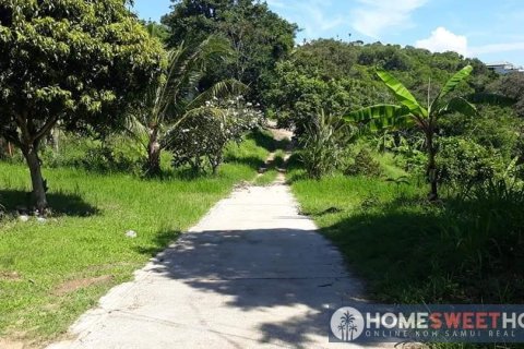 Land in Ko Samui, Thailand 4892 sq.m. № 180269 - photo 4