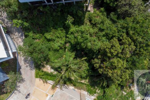 Terrain sur Chaweng Beach, Ko Samui, Thaïlande 1369 m2 № 180265 - photo 3
