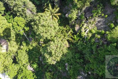 Land on Chaweng Beach, Ko Samui, Thailand 7398 sq.m. № 180264 - photo 5