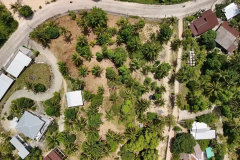 Land in Surat Thani, Thailand 4200000 sq.m. № 162201 - photo 9