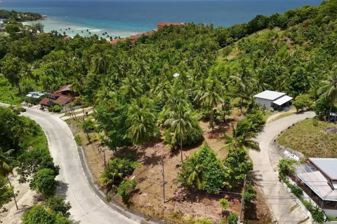 Land in Surat Thani, Thailand 4200000 sq.m. № 162201 - photo 17