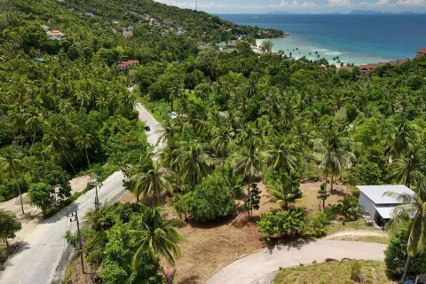 Land in Surat Thani, Thailand 4200000 sq.m. № 162201 - photo 8