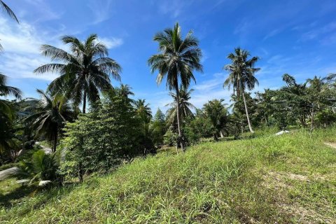 Land in Surat Thani, Thailand 4200000 sq.m. № 162201 - photo 15