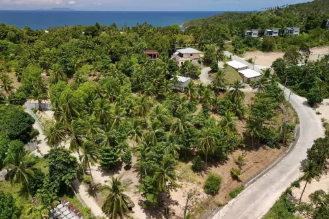 Land in Surat Thani, Thailand 4200000 sq.m. № 162201 - photo 6