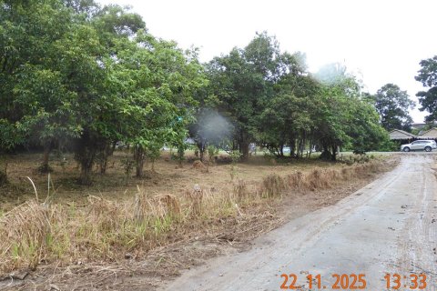 Land in Phuket, Thailand 3024 sq.m. № 171984 - photo 5