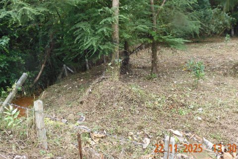 Land in Phuket, Thailand 3024 sq.m. № 171984 - photo 4