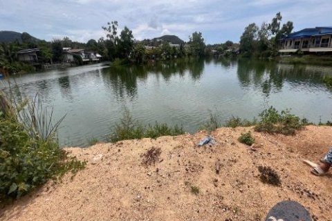 Земельный участок в Самуи, Таиланд 200м2  № 203717