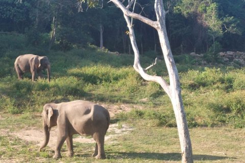 House in Ko Samui, Thailand 1 bedroom № 174036 - photo 14