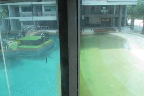 Studio in the Condo on Jomtien Beach, Pattaya, Thailand  № 204099 - photo 5