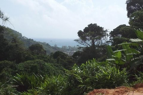 Terrain à Phuket, Thaïlande 11200 m2 № 138261 - photo 7