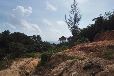 Terrain à Phuket, Thaïlande 11200 m2 № 138261 - photo 6