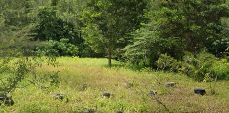 Земельный участок в Пхукете, Таиланд 1374.8м2  № 138260