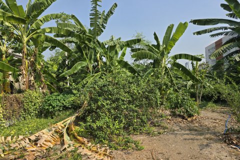 Land in Nonthaburi, Thailand 3200 sq.m. № 167397 - photo 9