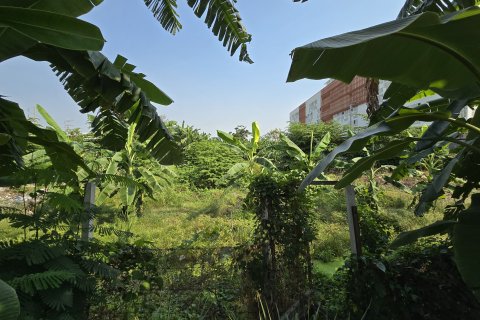 Land in Nonthaburi, Thailand 3200 sq.m. № 167397 - photo 6