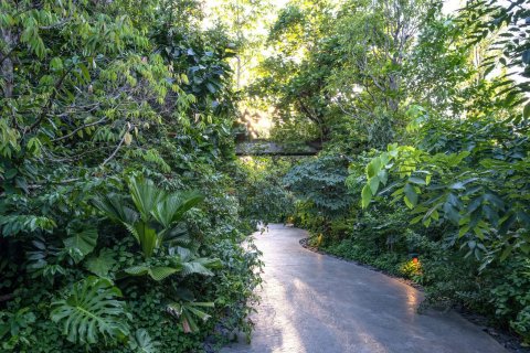 Studio in the Condo in Bang Kaeo, Thailand  № 139203 - photo 3