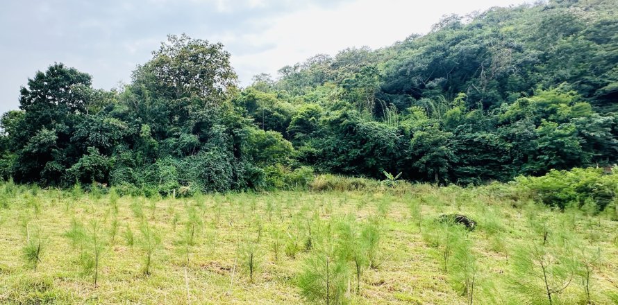 Земельный участок в Хуа Хине, Таиланд 1132м2 № 157271