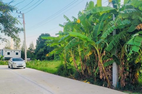 Земельный участок в Хуа Хине, Таиланд 1132м2 № 157271 - фото 9