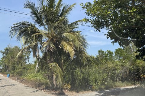 Земельный участок в Сам Пхране, Таиланд 8000м2  № 167290 - фото 4