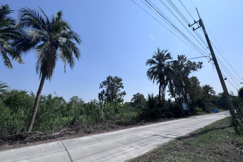 Земельный участок в Сам Пхране, Таиланд 8000м2  № 167290 - фото 3