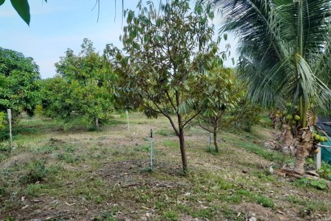 Terrain à Phuket, Thaïlande 8256 m2 № 155830 - photo 3