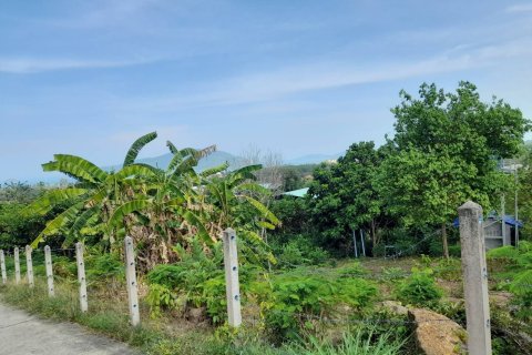 Terrain à Phuket, Thaïlande 8256 m2 № 155830 - photo 5