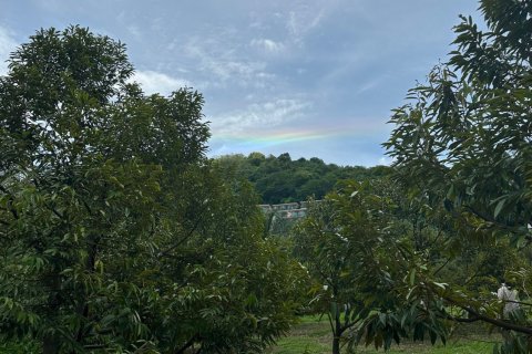 Terrain à Phuket, Thaïlande 8256 m2 № 155830 - photo 15