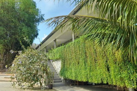 Terrain à Phuket, Thaïlande 8256 m2 № 155830 - photo 11