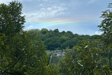 Terrain à Phuket, Thaïlande 8256 m2 № 155830 - photo 16