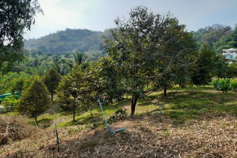 Terrain à Phuket, Thaïlande 8256 m2 № 155830 - photo 7
