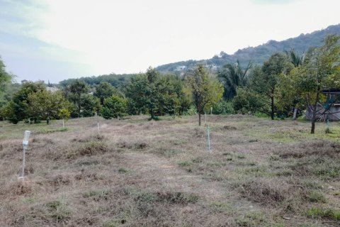 Terrain à Phuket, Thaïlande 8256 m2 № 155830 - photo 4