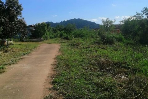 Земельный участок в Чумпхоне, Таиланд 17941.2м2  № 142838 - фото 2