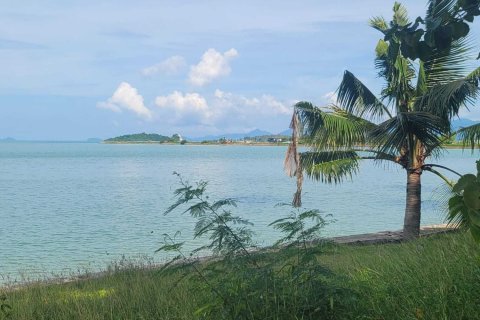 Земельный участок в Самуи, Таиланд 4220м2 № 151820 - фото 2