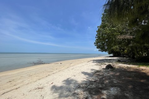 Land in Ko Samui, Thailand 1400 sq.m. № 180332