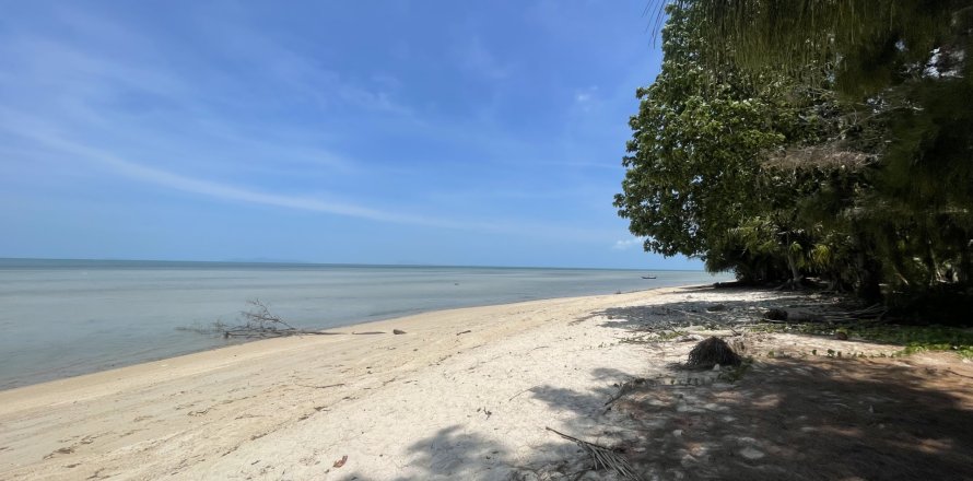 Land in Ko Samui, Thailand 1400 sq.m. № 180332