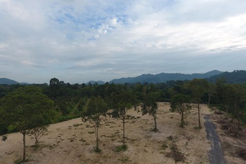 Land in Nakhon Nayok, Thailand 12400 sq.m. № 154786 - photo 5