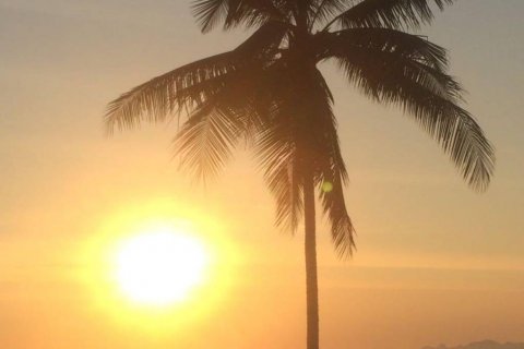 Земельный участок в Самуи, Таиланд  № 116757 - фото 7