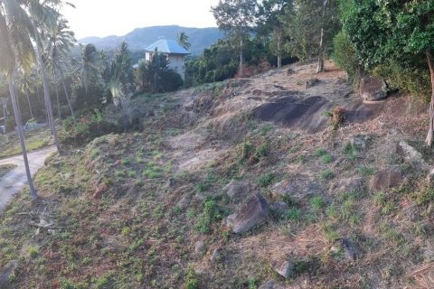 Земельный участок в Самуи, Таиланд  № 116757 - фото 4