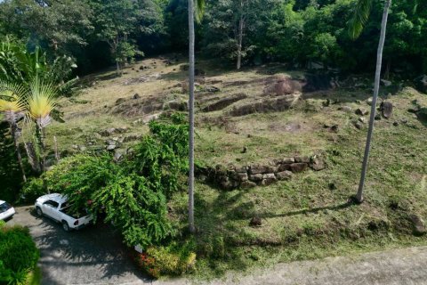 Земельный участок в Самуи, Таиланд  № 116757 - фото 3